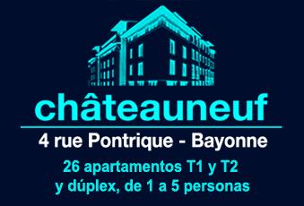 Ch&acirc;teauneuf, 4 rue Pontrique, Bayonne, 26 appartements T1 et T2 et duplex, de 1 &agrave; 5 personnes